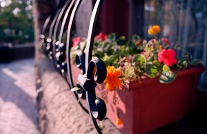 Window box decoration