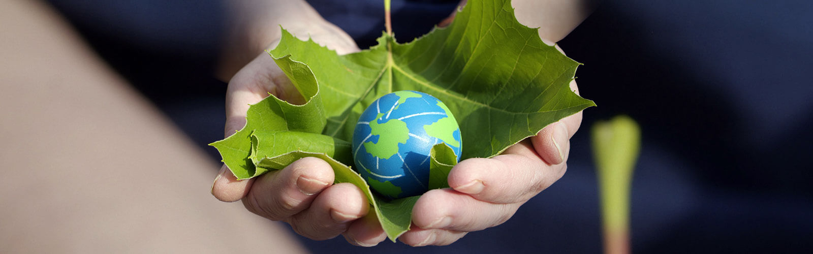 crown-about-us-environmental-banner