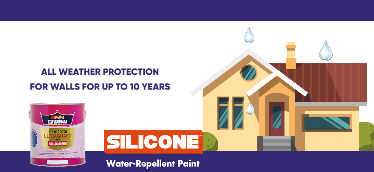 Crown Paints Kenya PLC Kenya's 1 Paint Manufacturing Company